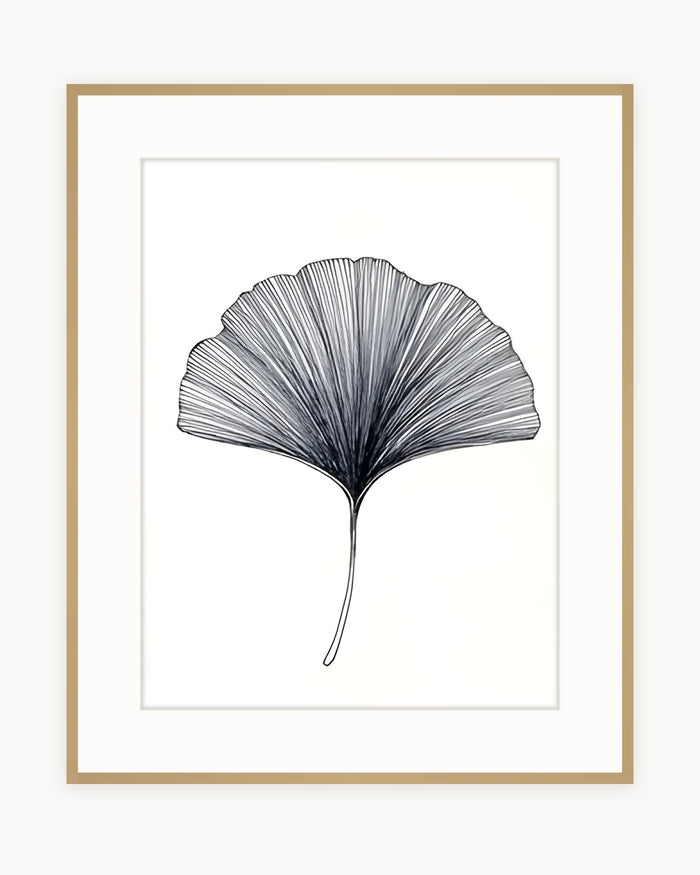 Ginkgo — Lámina Blanco y Negro