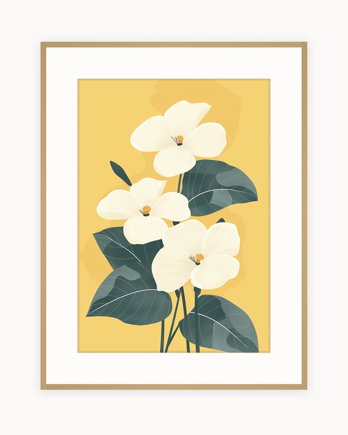 Flores Mostaza — Lámina Botánicas