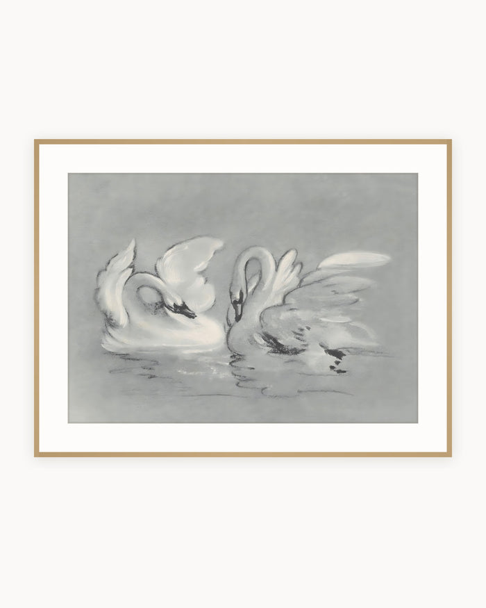 Cisnes — Lámina Vintage