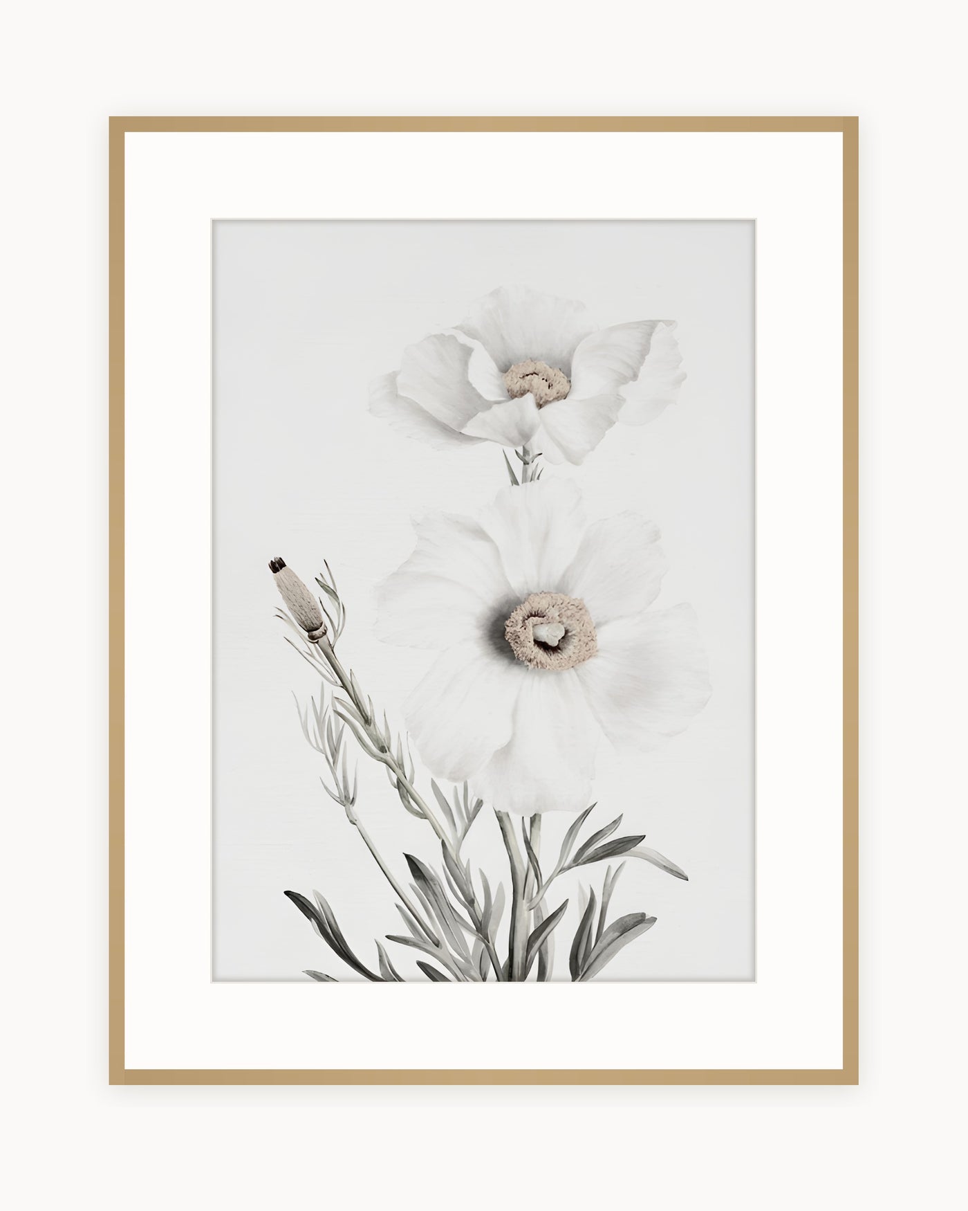 Botanica Blanca — Lámina Vintage