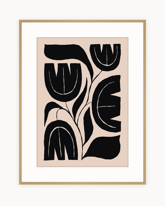 Tulipanes Negros — Lámina Botánicas